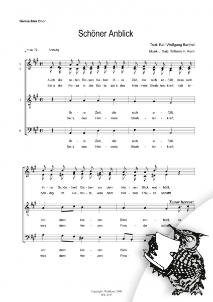 Schöner Anblick - für Chor SATB a cappella