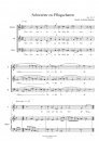 Schwerter zu Pflugscharen - für gem. Chor, Tenor-Solo mit Orgel