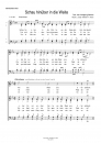 Schau hinüber in die Weite - für Chor SATB a cappella