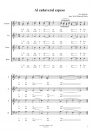 Al canaveral espeso - Chor SATB a cappella